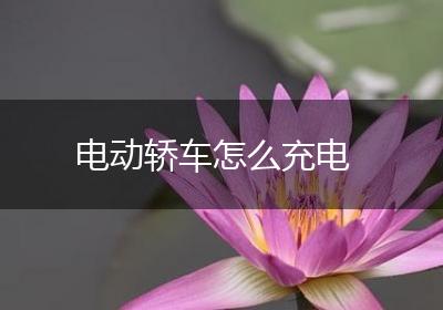 电动轿车怎么充电