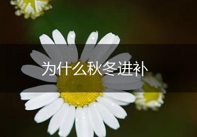 为什么秋冬进补