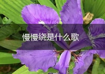 慢慢绕是什么歌