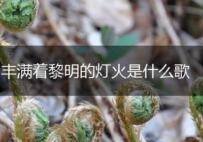 丰满着黎明的灯火是什么歌