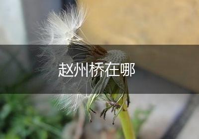 赵州桥在哪