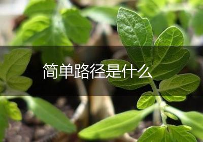简单路径是什么