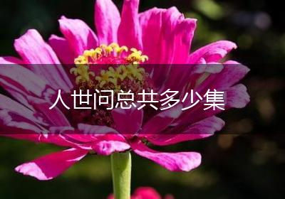 人世问总共多少集