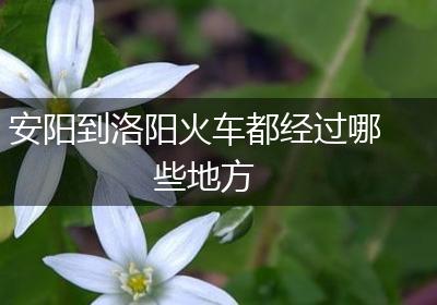 安阳到洛阳火车都经过哪些地方