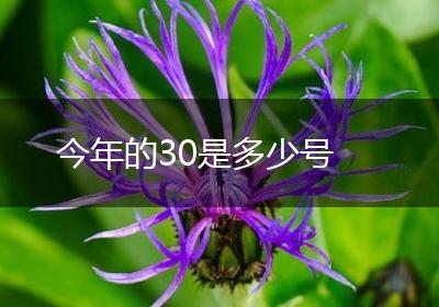 今年的30是多少号