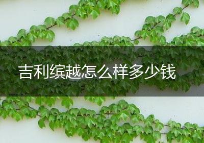 吉利缤越怎么样多少钱