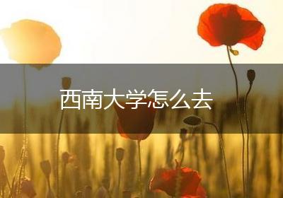 西南大学怎么去