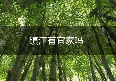 镇江有宜家吗