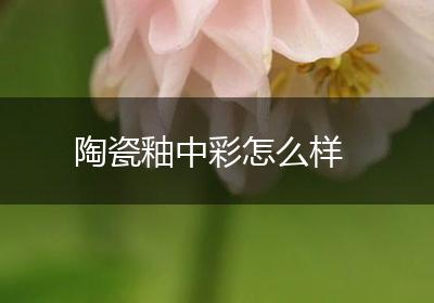 陶瓷釉中彩怎么样