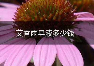 艾香雨皂液多少钱