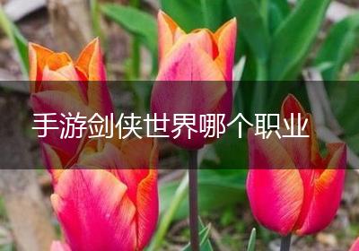 手游剑侠世界哪个职业