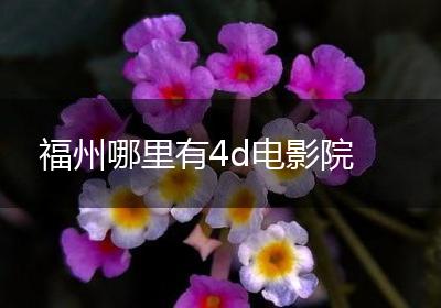 福州哪里有4d电影院