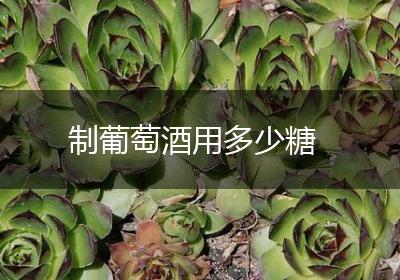 制葡萄酒用多少糖