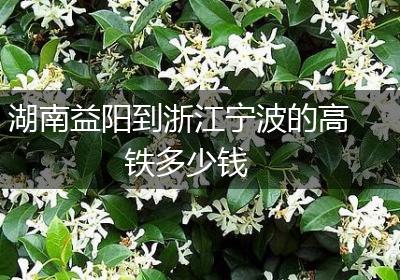 湖南益阳到浙江宁波的高铁多少钱