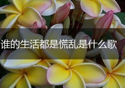 谁的生活都是慌乱是什么歌