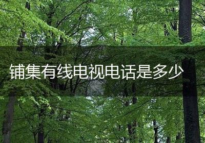 铺集有线电视电话是多少