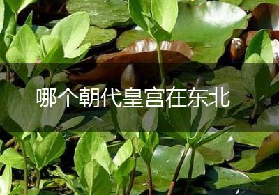 哪个朝代皇宫在东北