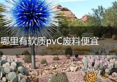 哪里有软质pvC废料便宜