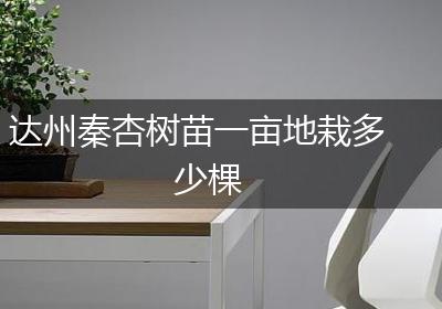 达州秦杏树苗一亩地栽多少棵