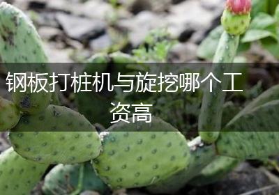 钢板打桩机与旋挖哪个工资高