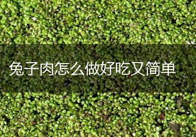 兔子肉怎么做好吃又简单