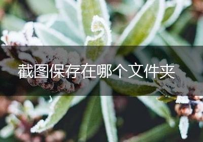 截图保存在哪个文件夹
