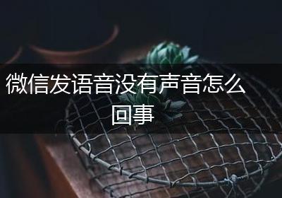 微信发语音没有声音怎么回事