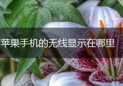 苹果手机的无线显示在哪里