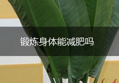 锻炼身体能减肥吗