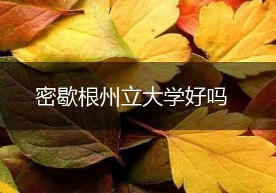 密歇根州立大学好吗