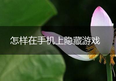 怎样在手机上隐藏游戏