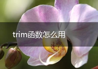 trim函数怎么用