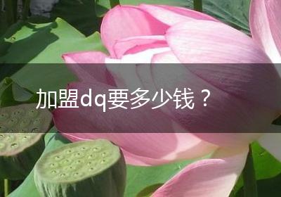加盟dq要多少钱？
