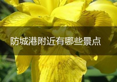 防城港附近有哪些景点