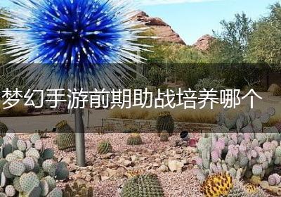 梦幻手游前期助战培养哪个