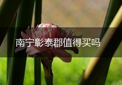 南宁彰泰郡值得买吗