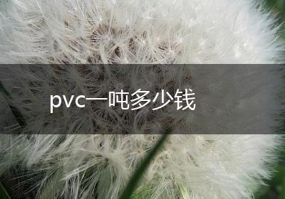pvc一吨多少钱