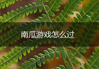 南瓜游戏怎么过