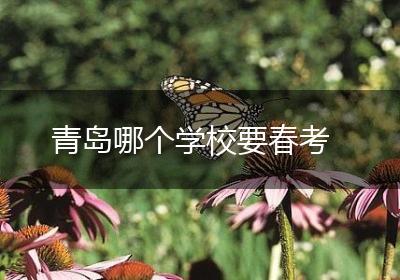 青岛哪个学校要春考