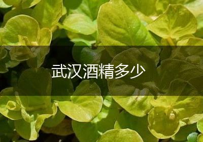 武汉酒精多少