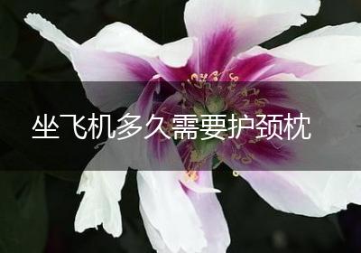 坐飞机多久需要护颈枕