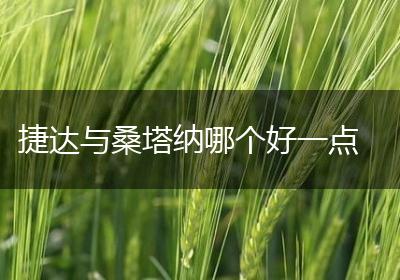 捷达与桑塔纳哪个好一点