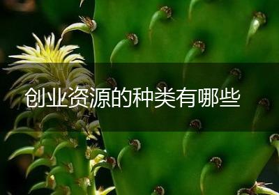 创业资源的种类有哪些