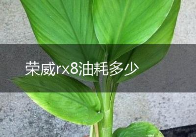 荣威rx8油耗多少