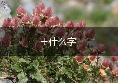 王什么字