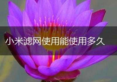 小米滤网使用能使用多久