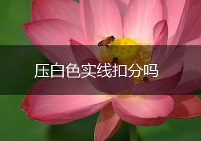 压白色实线扣分吗
