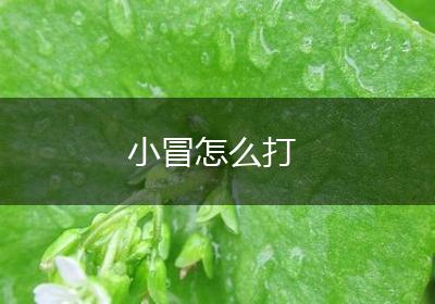 小冒怎么打