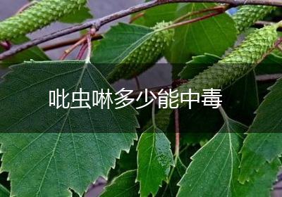 吡虫啉多少能中毒