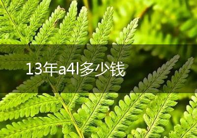 13年a4l多少钱